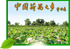 &#30343;&#20896;