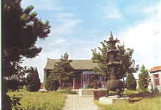 &#30343;&#20896;